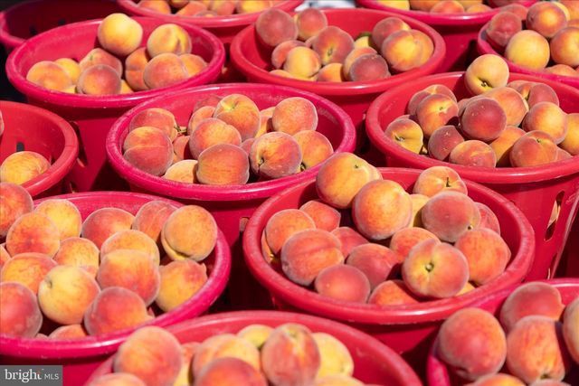 408 FLOWER ST, Berlin, MD 21811