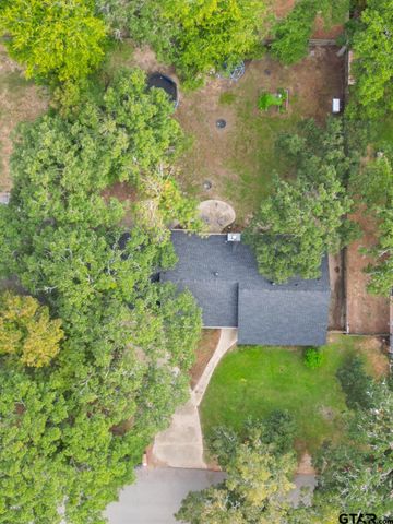 3698 Holly Ln, Flint, TX 75762
