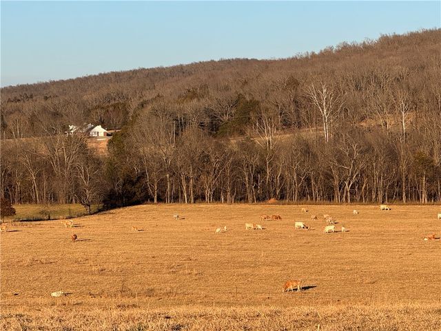 204 Madison 6601 Street, Huntsville, AR 72740