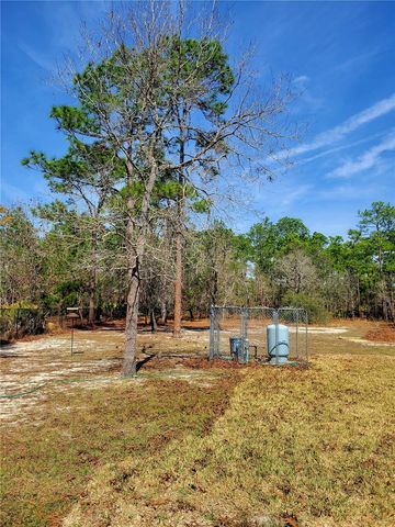 9153 MICHIGAN AVENUE, Weeki Wachee, FL 34613