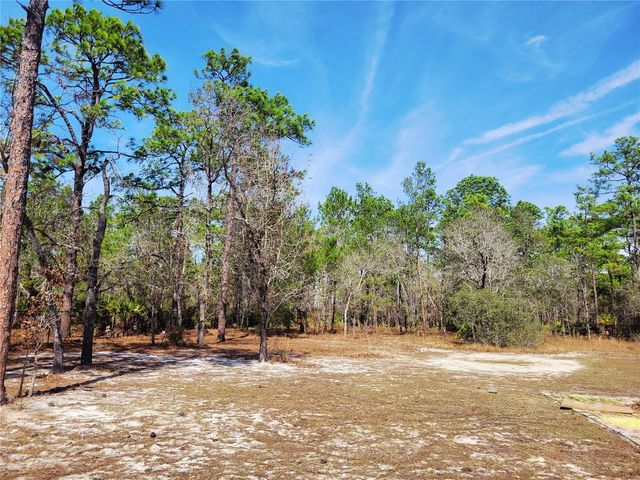 9153 MICHIGAN AVENUE, Weeki Wachee, FL 34613