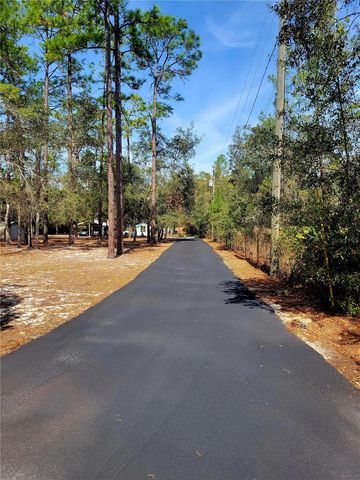 9153 MICHIGAN AVENUE, Weeki Wachee, FL 34613