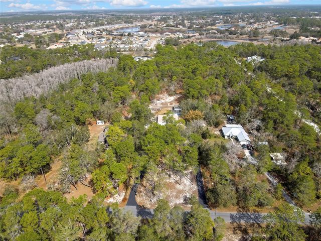 9153 MICHIGAN AVENUE, Weeki Wachee, FL 34613