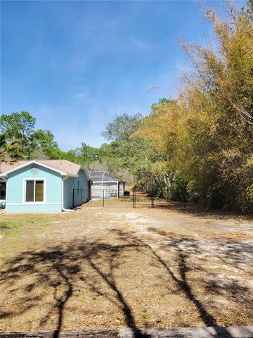 9153 MICHIGAN AVENUE, Weeki Wachee, FL 34613