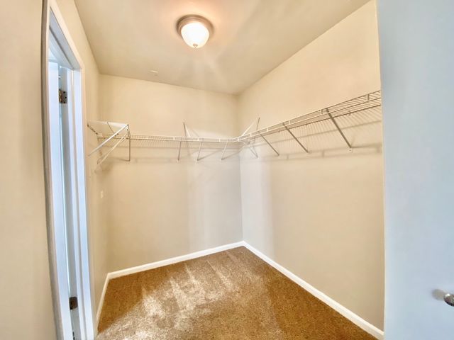 22962 Bruce Drive, Richton Park, IL 60471