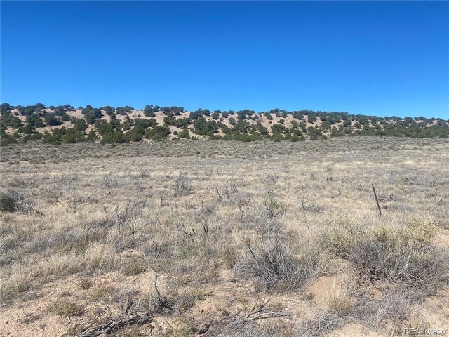 891 Filly Rd., Fort Garland, CO 81133
