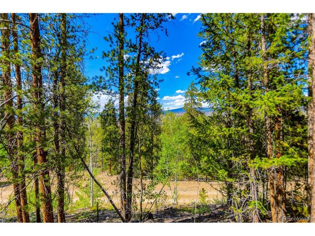 198 Mt Elbert Rd, Twin Lakes, CO 81251
