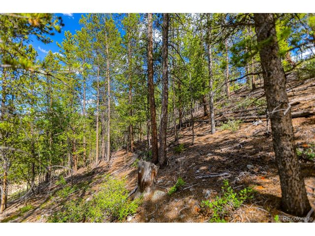 198 Mt Elbert Rd, Twin Lakes, CO 81251