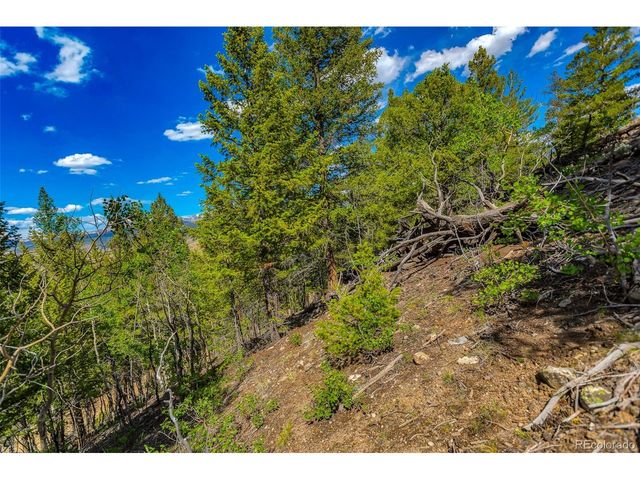 198 Mt Elbert Rd, Twin Lakes, CO 81251