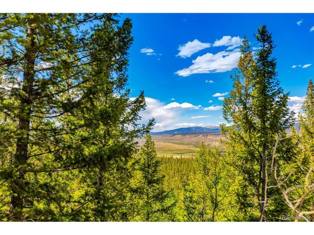198 Mt Elbert Rd, Twin Lakes, CO 81251