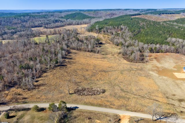 0 Mt Carmel Road, Decaturville, TN 38329