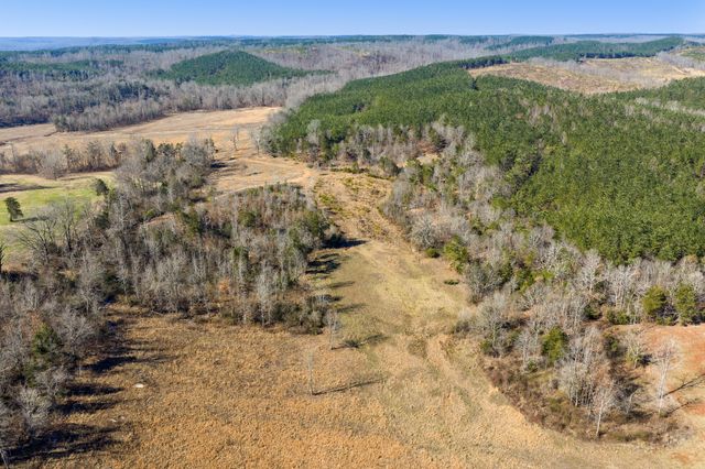 0 Mt Carmel Road, Decaturville, TN 38329