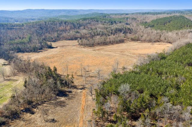 0 Mt Carmel Road, Decaturville, TN 38329