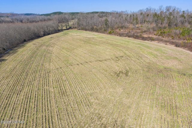 0 Mt Carmel Road, Decaturville, TN 38329
