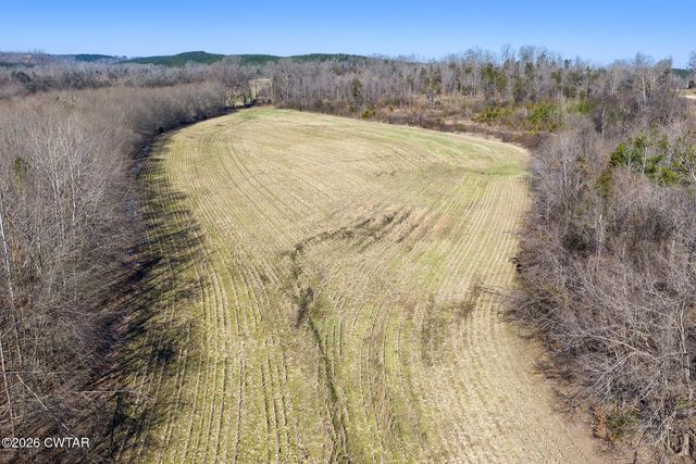 0 Mt Carmel Road, Decaturville, TN 38329