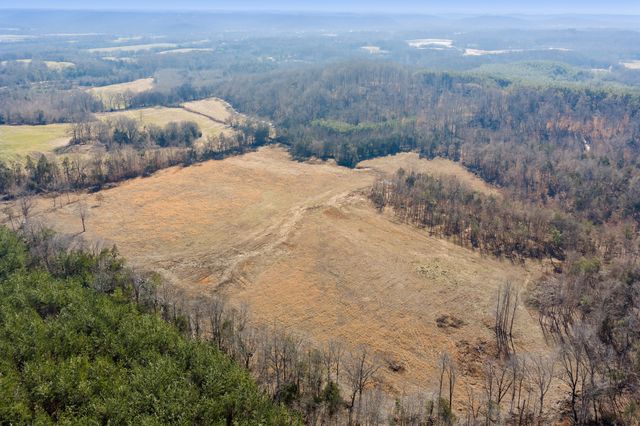 0 Mt Carmel Road, Decaturville, TN 38329