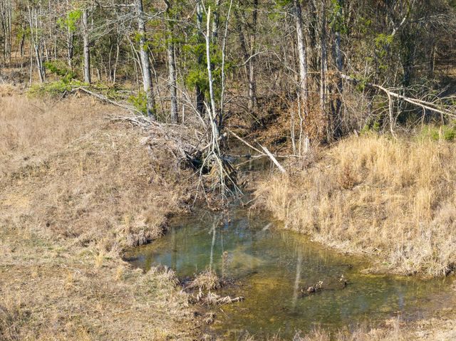 0 Mt Carmel Road, Decaturville, TN 38329