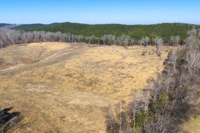 0 Mt Carmel Road, Decaturville, TN 38329