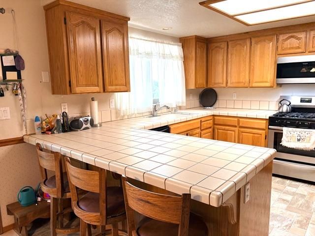 2008 Antler, Arnold, CA 95223