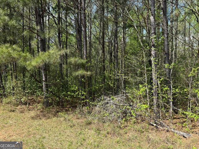 610 E Johnson Street, Temple, GA 30179