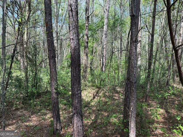 610 E Johnson Street, Temple, GA 30179