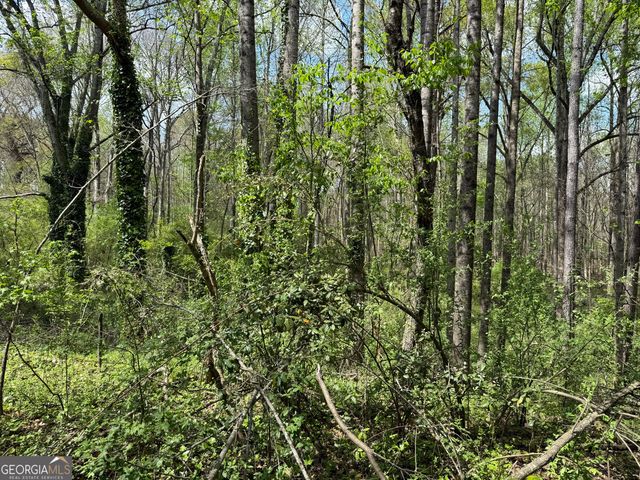 610 E Johnson Street, Temple, GA 30179