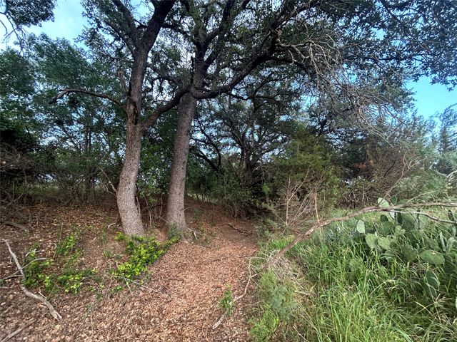 TBD U.S. Hwy 84 W, Goldthwaite, TX 76844