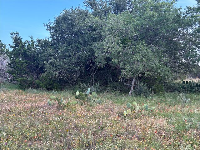 TBD U.S. Hwy 84 W, Goldthwaite, TX 76844