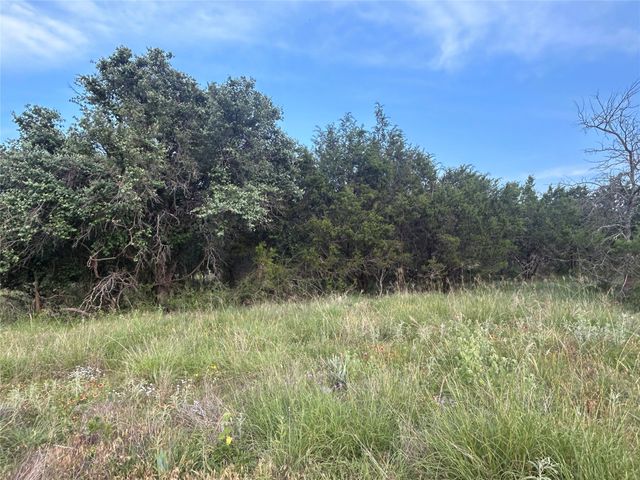 TBD U.S. Hwy 84 W, Goldthwaite, TX 76844