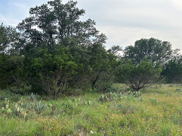 TBD U.S. Hwy 84 W, Goldthwaite, TX 76844