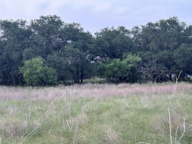 TBD U.S. Hwy 84 W, Goldthwaite, TX 76844