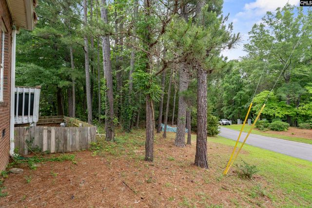 804 Willowood Parkway, Chapin, SC 29036