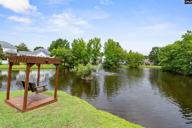 804 Willowood Parkway, Chapin, SC 29036