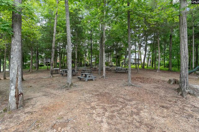 804 Willowood Parkway, Chapin, SC 29036