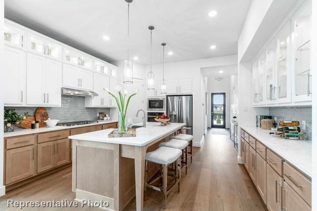 3728 American Paint Drive, Aubrey, TX 76227
