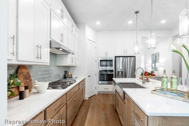 3728 American Paint Drive, Aubrey, TX 76227