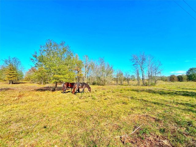 664 Cr 3355, Crockett, TX 75835