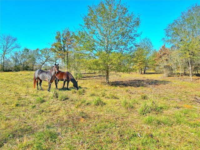 664 Cr 3355, Crockett, TX 75835