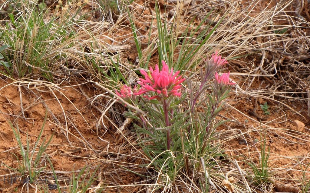 tbd Deadman Creek Road, Bridger, MT 59014 photo 10