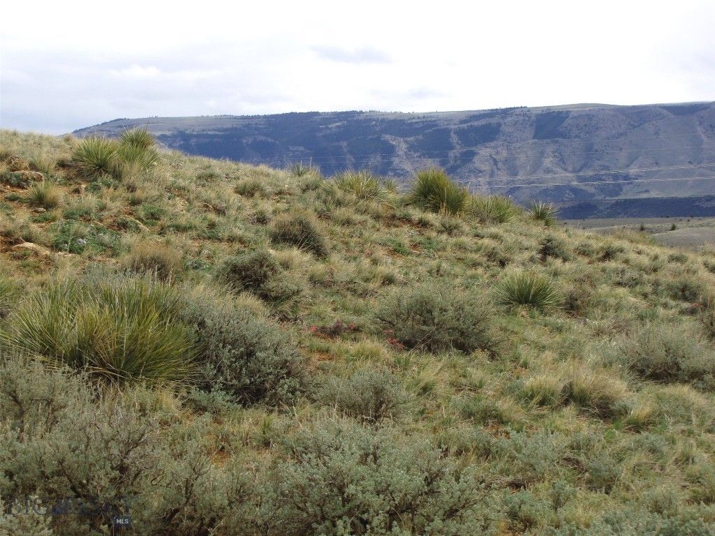 tbd Deadman Creek Road, Bridger, MT 59014 photo 21