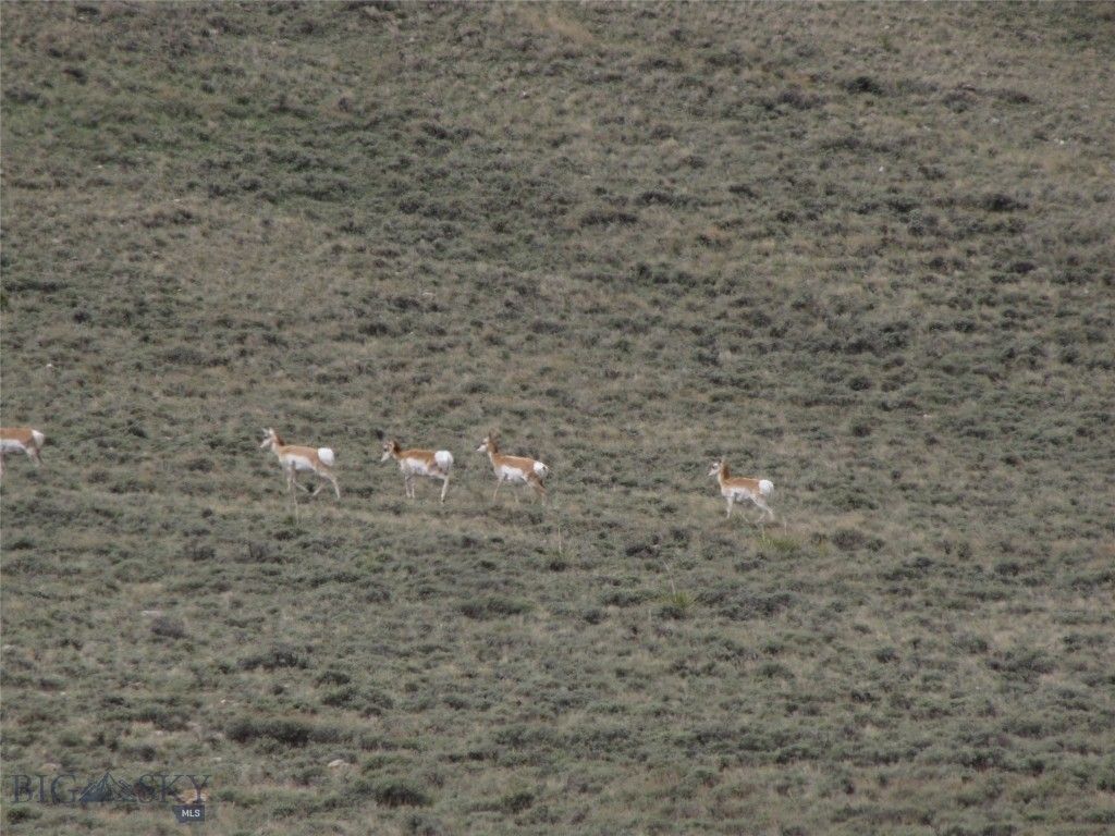 tbd Deadman Creek Road, Bridger, MT 59014 photo 50