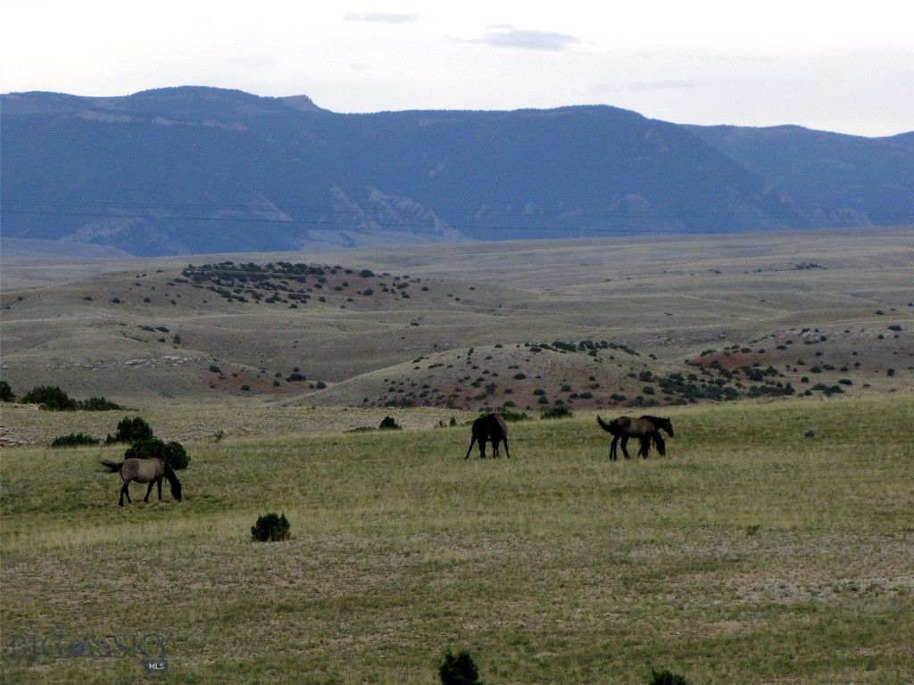 tbd Deadman Creek Road, Bridger, MT 59014 photo 51
