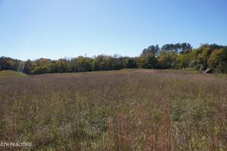 Par 152 Sulpher Springs Rd, Newport, TN 37821