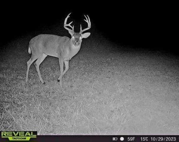 241 Ritchie Road, Carlisle, KY 40311