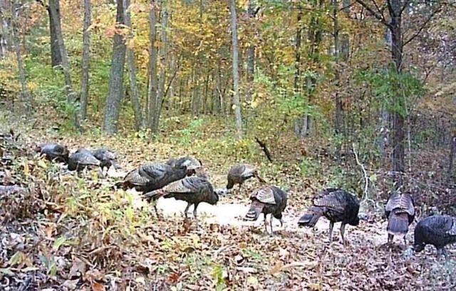 241 Ritchie Road, Carlisle, KY 40311