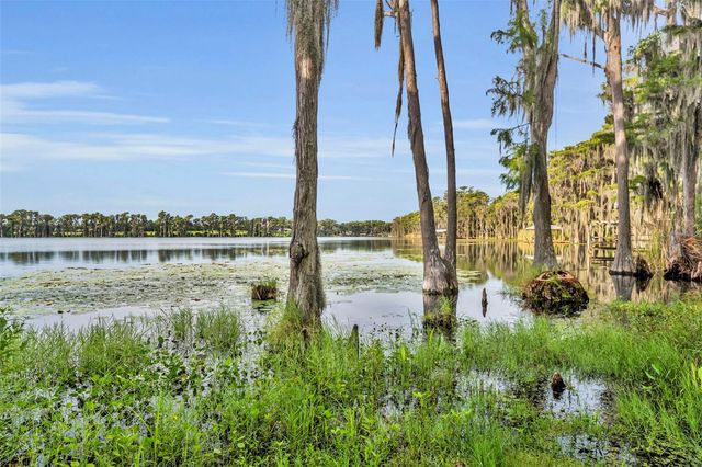 1134 KELSO BOULEVARD, Windermere, FL 34786