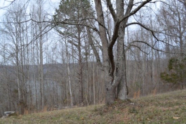 0 Fox Hill Road, Baxter, TN 38544