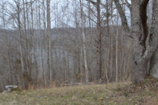 0 Fox Hill Road, Baxter, TN 38544