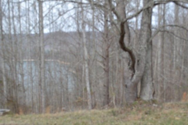 0 Fox Hill Road, Baxter, TN 38544