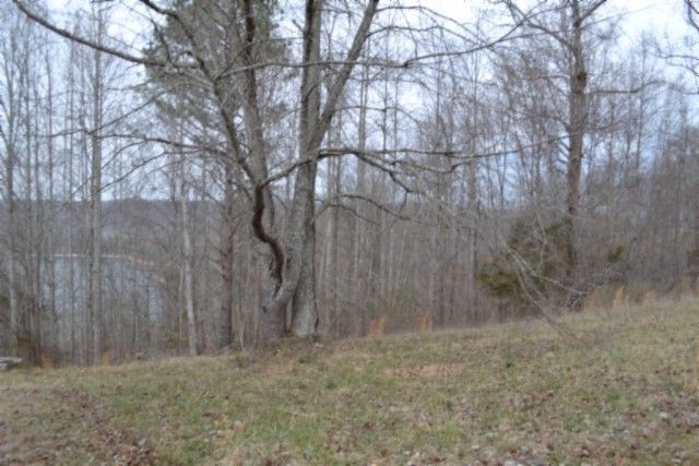 0 Fox Hill Road, Baxter, TN 38544